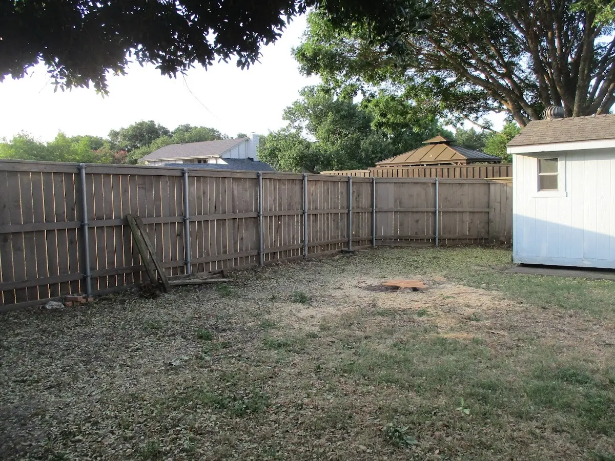 Cleared yard after professional tree removal in Bloomingburg